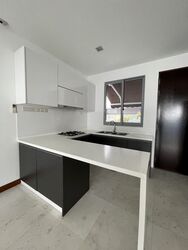 Radiance @ Bukit Timah (D21), Terrace #506846821
